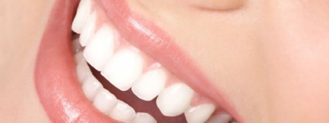 dientes-1-480×180